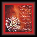 Who ik lahmha 01 * 07.02.2012 * 384 x 414 * (52KB)